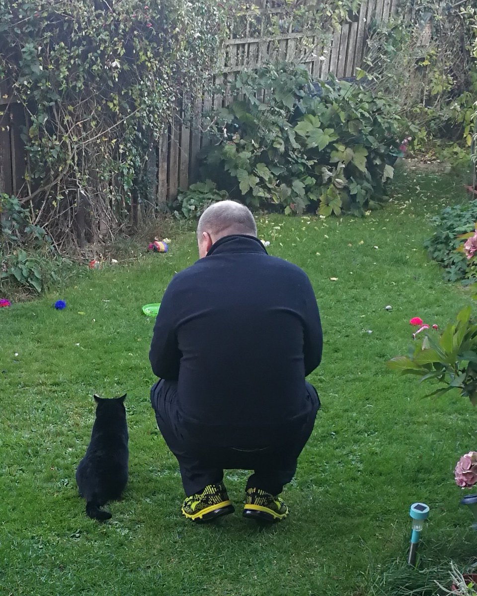 BagginsSuperCat's tweet photo. @SwaleCats #CatMenDo my dad is the best dad ever. He plays with me every day and takes me out on patrol, and i love him above all other things ever. Meow!
(He is also fast and loose with the treats, unlike mumquat!!) https://t.co/fK1A8FGOFm