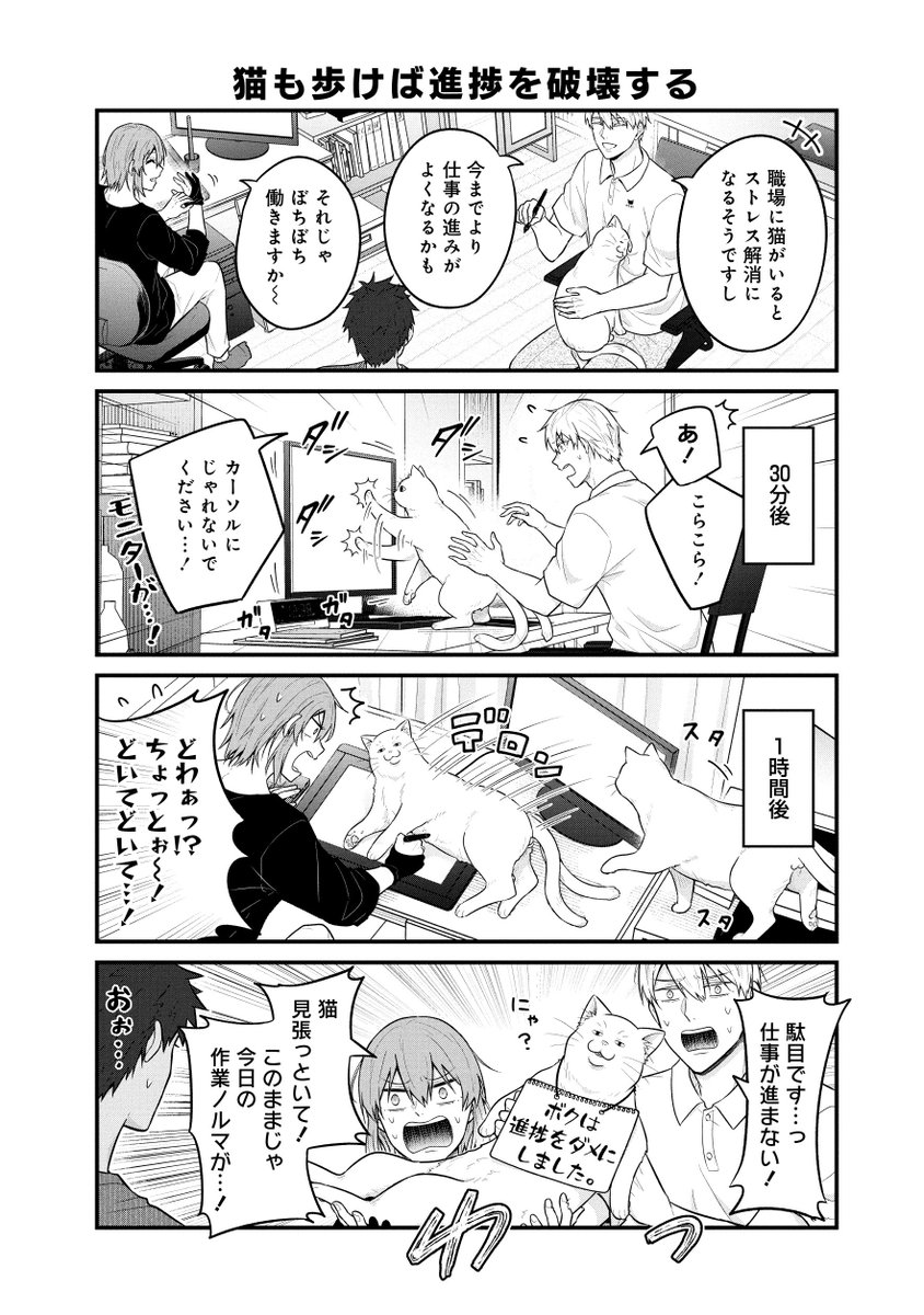 ルームシェア漫画家男子の家に猫が来た話
【3/4】 