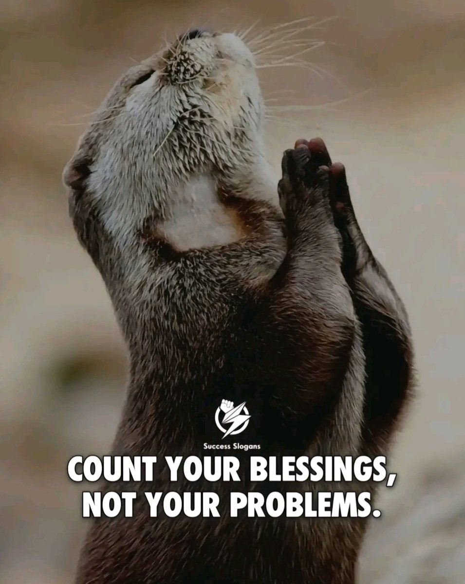 OnefJames's tweet photo. Blessed are you, all who put your hope and trust in the Lord https://t.co/Wq85BAgwC2