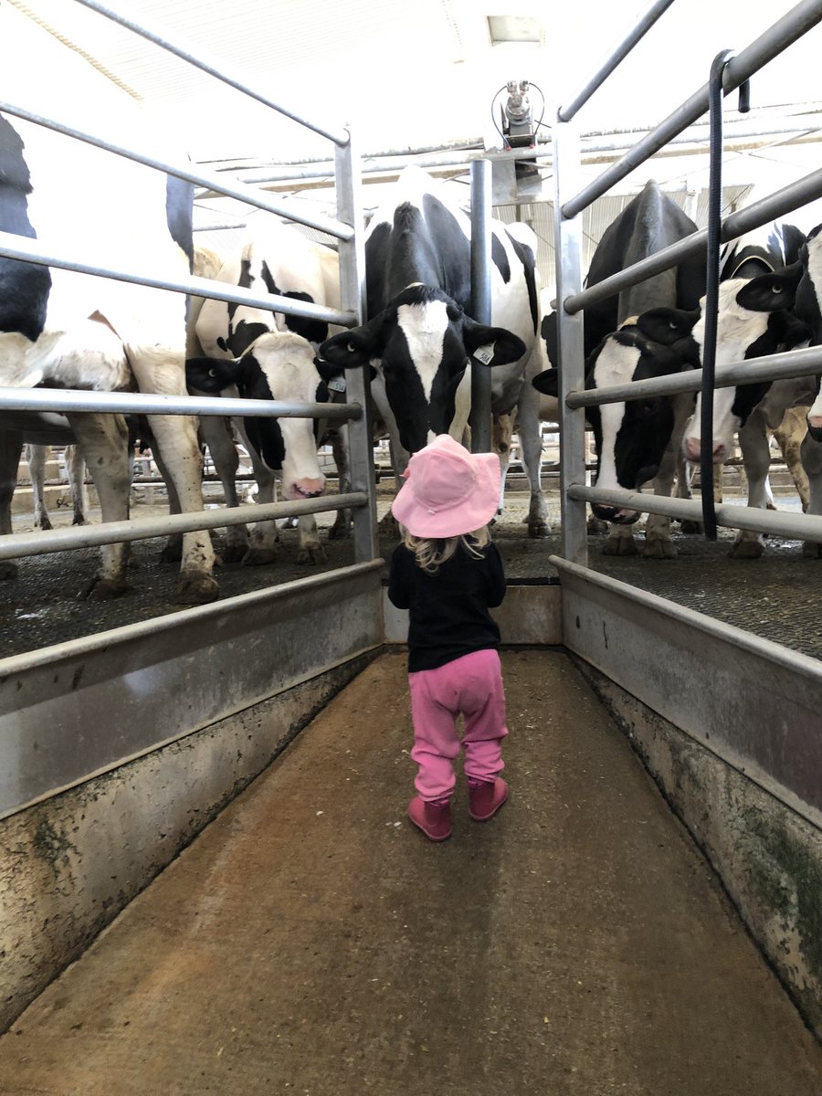 #Canadiandairy