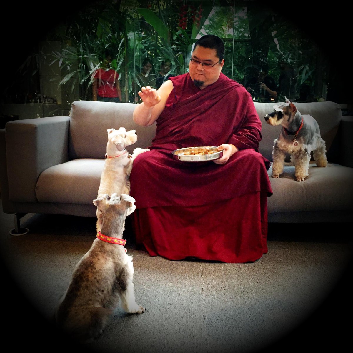When I see animals and people in pain, it bothers me, and it inspires me into action to do something.
#tsemrinpoche 
#loveanimals
#saveanimals
#kindness
#compassion
#buddhism