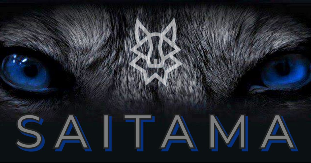 When they ask, tell them we are #Saitama and we’re making #crypto safer and more accessible for everyone.
@WeAreSaitama @Epayme_uae 
#wolfpack #SaitaPro #SaitaCard #SaitaChain #SaitaLogistics #SaitaSwap #SaitaRealty #cryptocurrency #CryptoTwitter