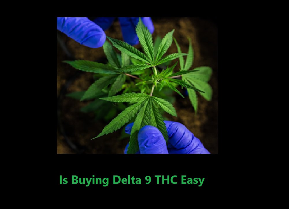 fixthelife.com/is-buying-delt…

#delta9 #delta9thc #delta9tetrahydrocannabinol #delta9thcla #delta9recordings #delta9mcs #delta9cannabis #delta9recs #delta9lifestyle #delta9confections #delta9vape #festivaldelta9 #delta9house #delta9extracts #delta98 #delta9racing #delta9liquidizer