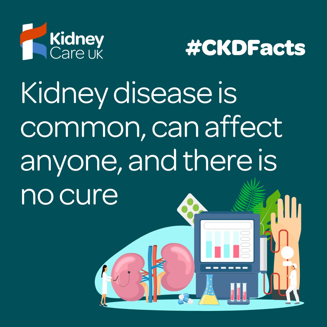 kidneycareuk's tweet photo. ⚠️ If your kidneys stop working properly, all the jobs they normally do may be affected. 

Please retweet this post to show that #KidneysMatter

🤔 Click for more info on #Kidneys: https://t.co/fYbj1aiMY1

#CKDFacts https://t.co/K7mzT7NJK8