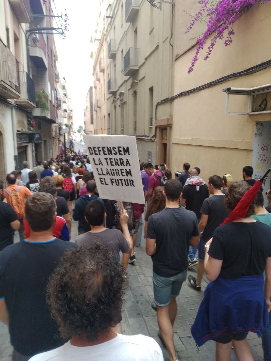 Pirates del Sud de Catalunya tweet media