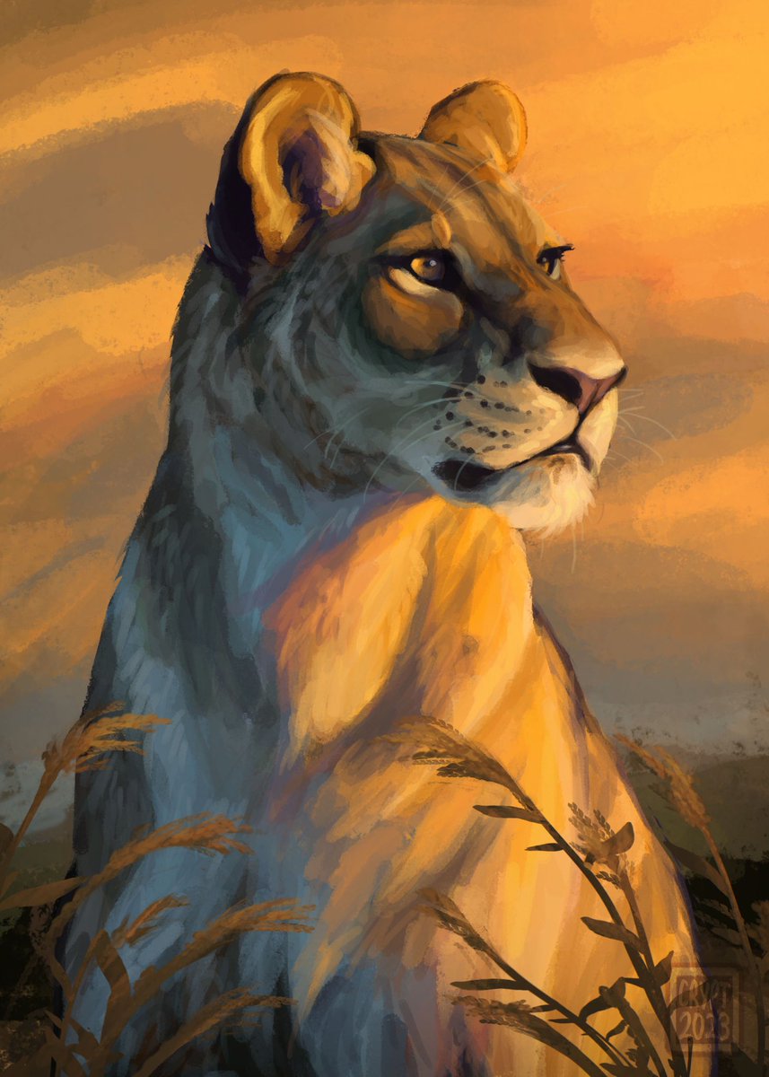 Lioness digital painting study ✨🌙