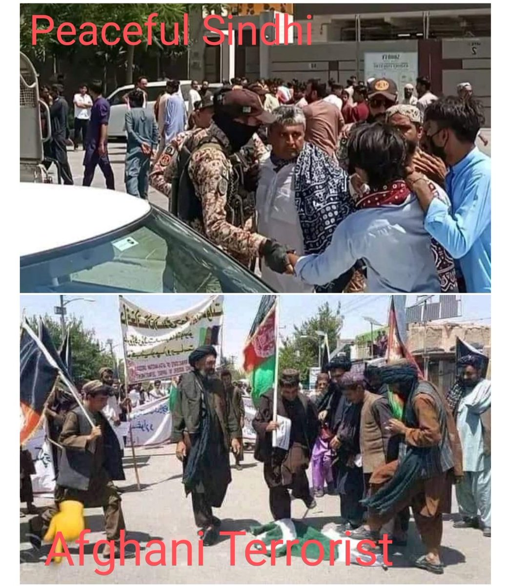 SarmadSindhi78's tweet photo. Peaceful Sindhi @sindhiinamsabha
He was peaceful protesting 
So Pak forces torture and abducted them
Afghan Terrorist 
Afghan refugees burned flag of Pakistan in Karachi
But government did not take any action
Shameful Act
Release Inam Sindh And His Friends
#ExpelAfghanis https://t.co/HsluJODIC4