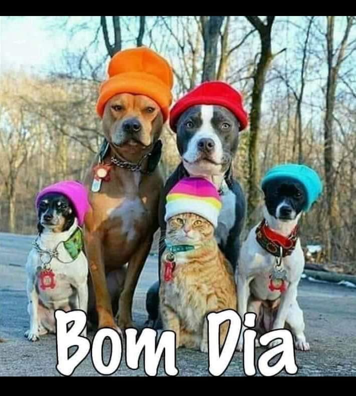 asemananews's tweet image. Deus #quer lhe abençoar e guiar #este dia: -&quot;&quot;O Senhor te abençoe e te guarde; o Senhor faça resplandecer o seu rosto sobre ti e te conceda graça; o Senhor volte para ti o seu rosto e te dê paz. (Números 6:24-26) 

#BomDiaAmigos #DomingoDoSenhor #BoraLáBrasil  #diaabençoado