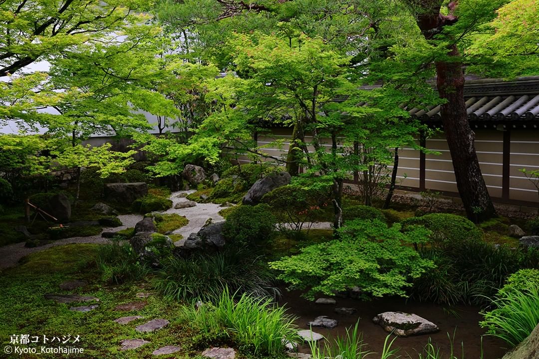 NipponVisuals's tweet photo. Eikando Zenrin-ji Temple, Japan ⛩️
📸 https://t.co/4xFVCJRHm0 https://t.co/JIeuvzOEBK