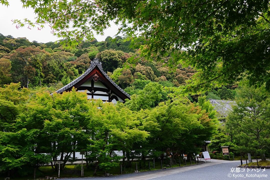 Eikando Zenrin-ji Temple, Japan ⛩️
📸 instagram.com/kyoto_kotohaji…