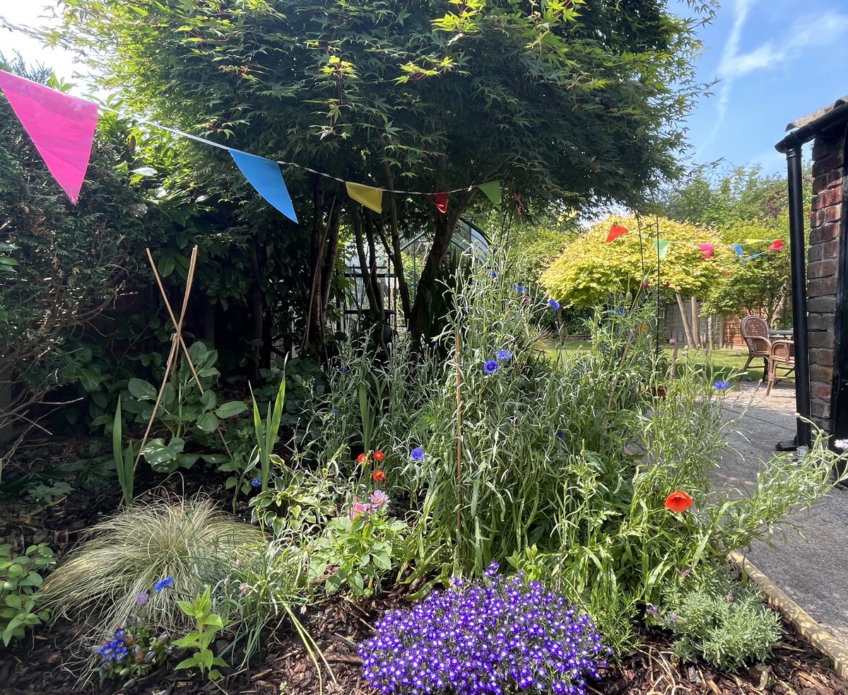 144wherethings1's tweet photo. The flowers are starting to put on a show 💐 https://t.co/ZjQ0LZk93l