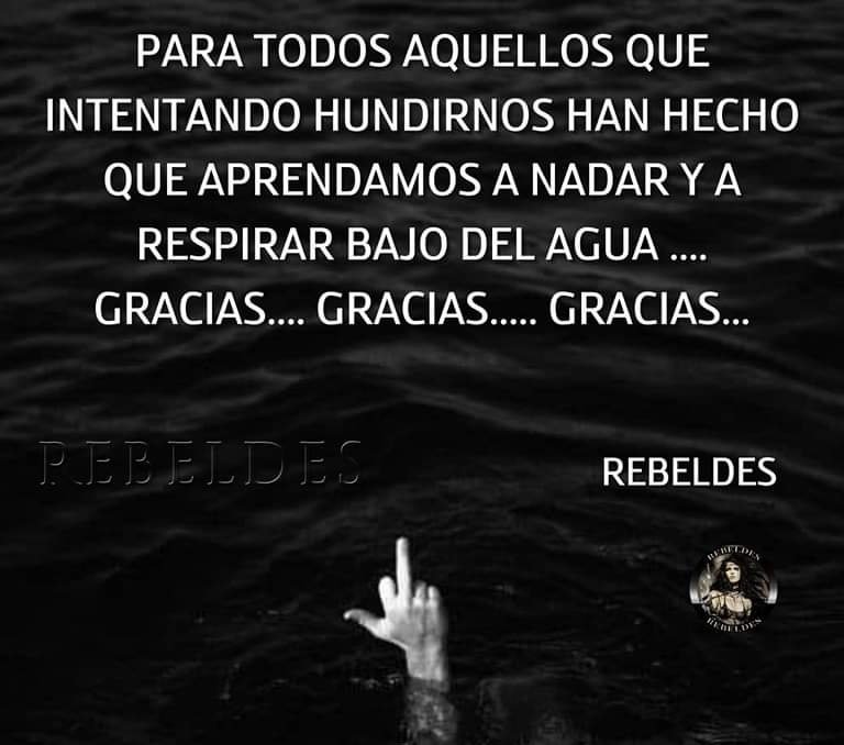 19690831a's tweet photo. Porque los despreciados, ninguneados, olvidados, maltratados, los nadies y ya tambien los "intolerantes" vamos a seguir nadando y respirando. Ojala el 23J @PSOE os hundais y no salgais a flote
#HuelgaEnJusticia 
@pilar_llop
@sanchezcastejon https://t.co/iNnwiloun2