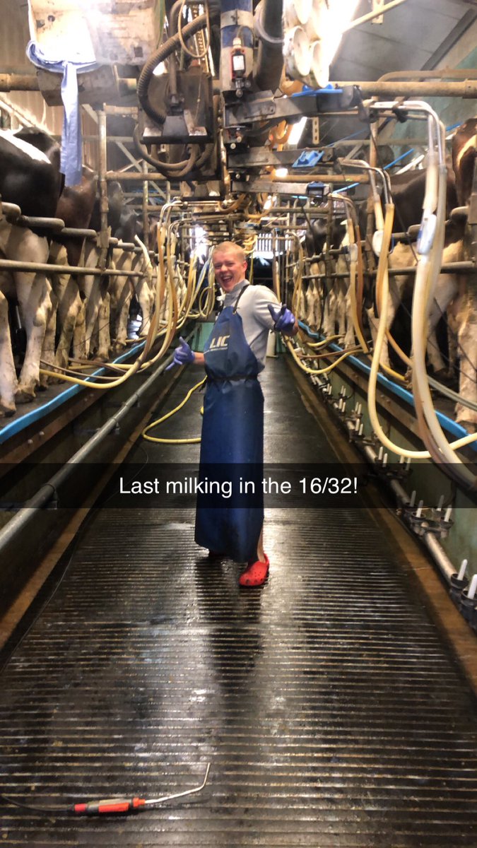 mrmattyhill's tweet photo. And so it begins. Old parlour coming out! https://t.co/D7dB8MsRBA
