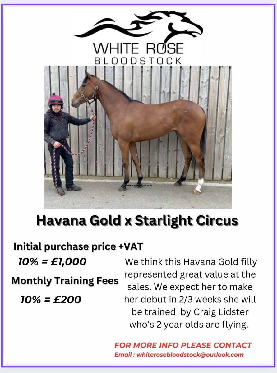 White Rose Bloodstock (@bloodstockrose) on Twitter photo โผ๏ธ New signing Alert โผ๏ธ
<a href="/mikeylewis32/">Mikey Lewis</a> joins Whiterose Bloodstock as we offer a new horse.
Unnamed Havana Gold filly bought from the <a href="/BrzUps/">Breeze Up Sales</a> weโve got 5 x 10% shares remaining..
Any naming ideas? <a href="/hullkrofficial/">Hull KR</a> โผ๏ธ New signing Alert โผ๏ธ
<a href="/mikeylewis32/">Mikey Lewis</a> joins Whiterose Bloodstock as we offer a new horse.
Unnamed Havana Gold filly bought from the <a href="/BrzUps/">Breeze Up Sales</a> weโve got 5 x 10% shares remaining..
Any naming ideas? <a href="/hullkrofficial/">Hull KR</a>