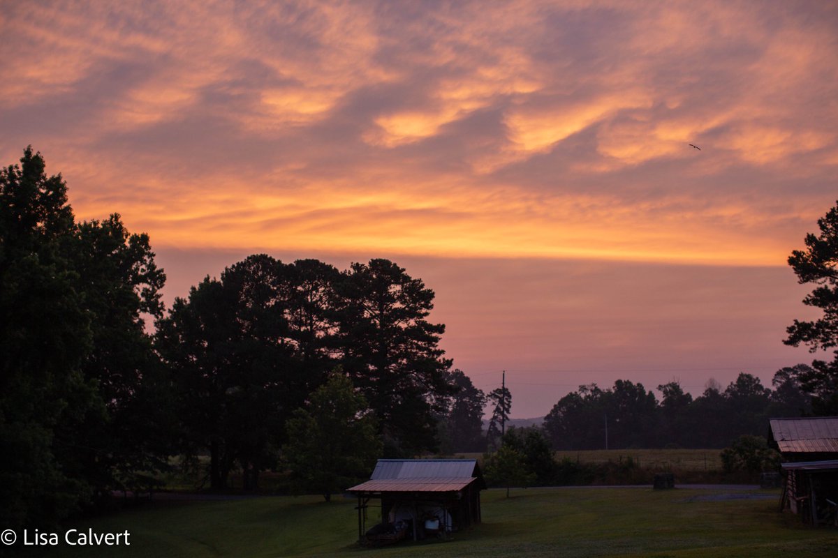 What a beautiful dawn from Crane Hill, Alabama on this Father’s Day! 
📷 Lisa Culvert