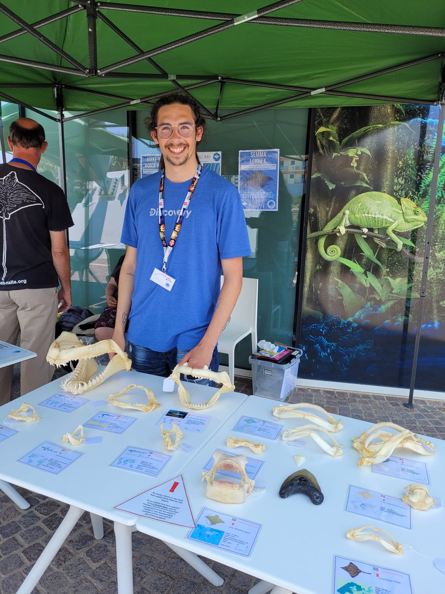Some Shark, skate and ray public education this morning at the Malta National Aquarium with <a href="/sharklab_malta/">Sharklab Malta</a>