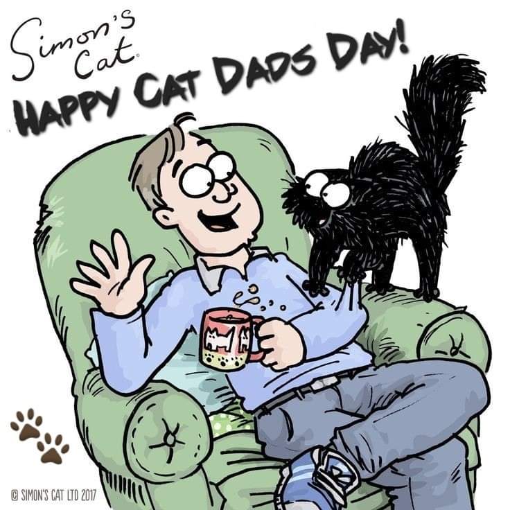 #catdad #cats #catsofinstagram #cat #catstagram #catlover #catlife #instacat #kitten #pets #meow #kittens #catoftheday #kitty #kittensofinstagram #adoptdontshop #lovecats #kittycat #instacats #catphoto #catsofinsta #dogsofinstagram #ilovemycat #caturday #ilovecats #catphotography