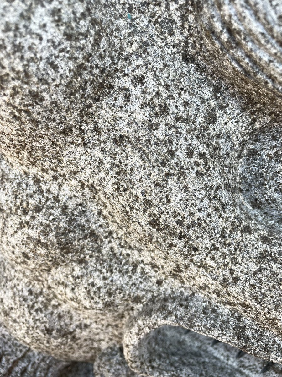 KBYip's tweet image. Waiting to get seated for Father’s Day Dim Sum.
Admiring this mafic igneous lion. Lovely pyroxenes. 
Urban #geologizing