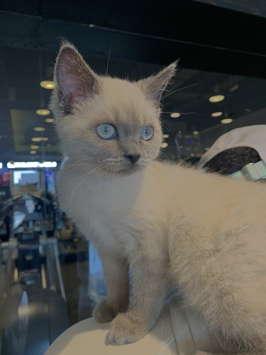 ꧁⋆𖤐⋆꧂ tweet media