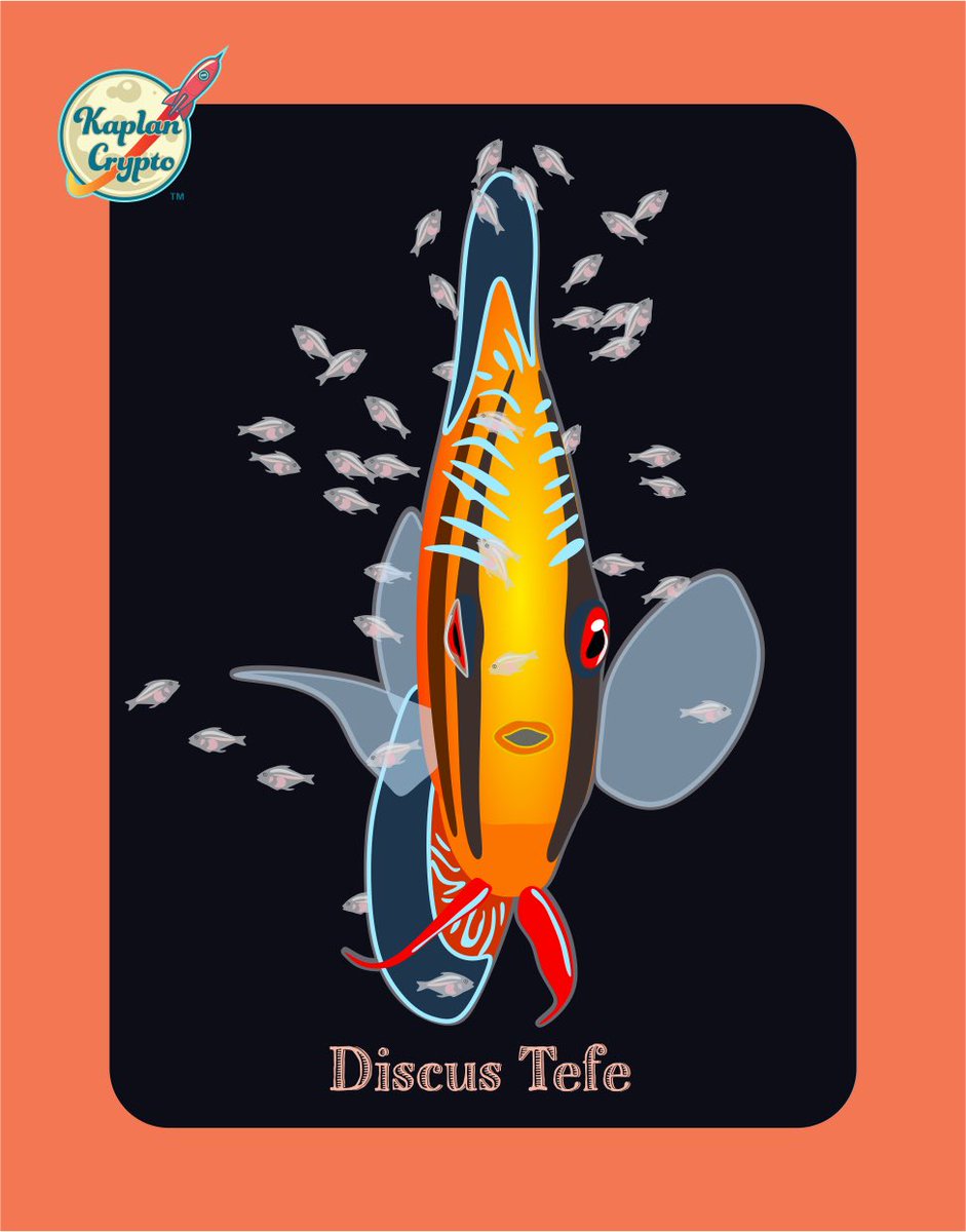 What up. I’m a member of the Freshwater Tank game, and do you know how Discus feed their young? Answers will come in 2 days.

#facts #fact #FishTank #fishing #discus #FunFact #funfacts #FactsMatter #fish #aquarium #KaplanCrypto #boardgame #boardgames #game #games