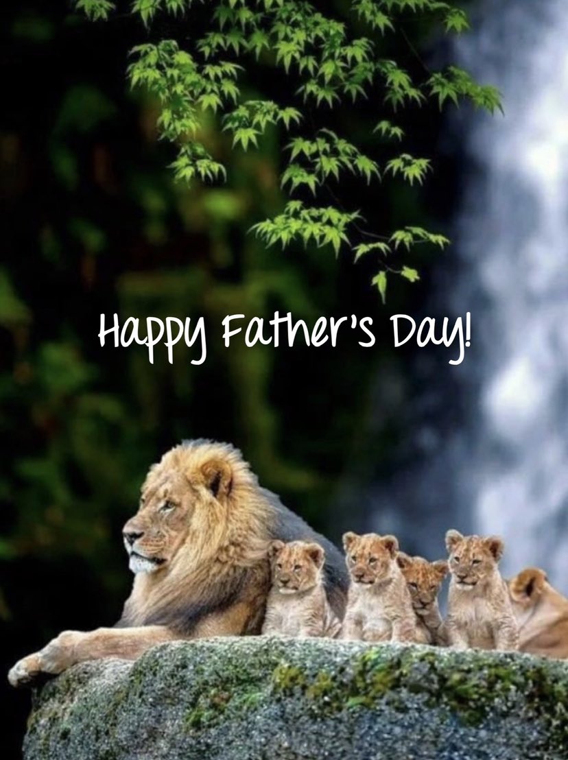 VeganNana15 Ⓥ🌱 (@nana15vegan) on Twitter photo 