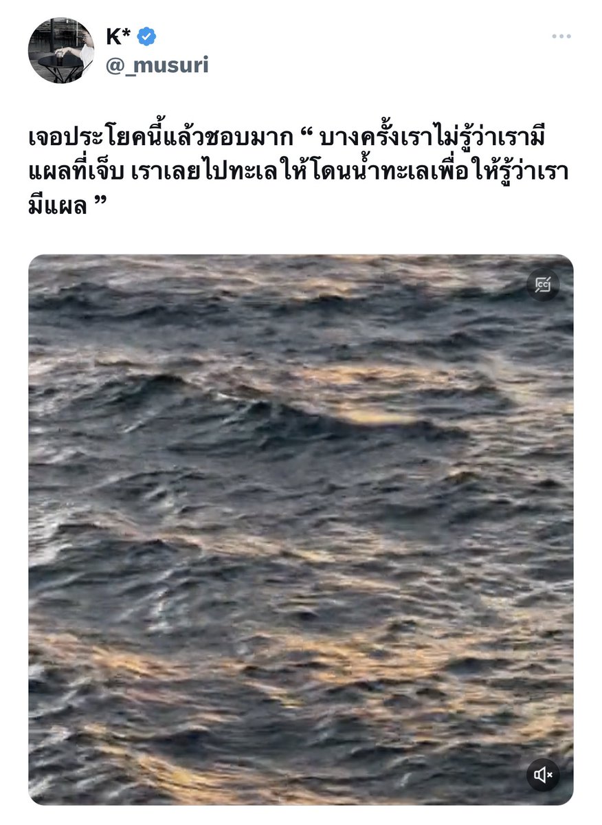 K̶* tweet media