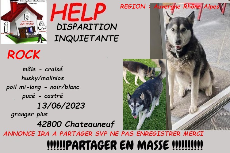 Kate23170's tweet image. merci de RT pour nous aider a retrouver ROCK disparu a Chateauneuf 42800 le 13/06/2023 svp . si infos : 0631497133

CONTACT FB : facebook.com/profile.php?id…

ou MP à @Kate23170