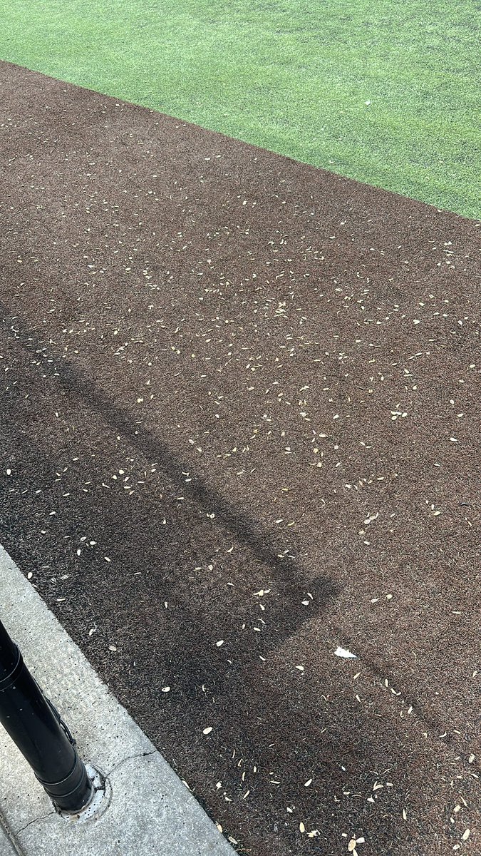 Shawn Oliver, EdD⚾️ tweet media