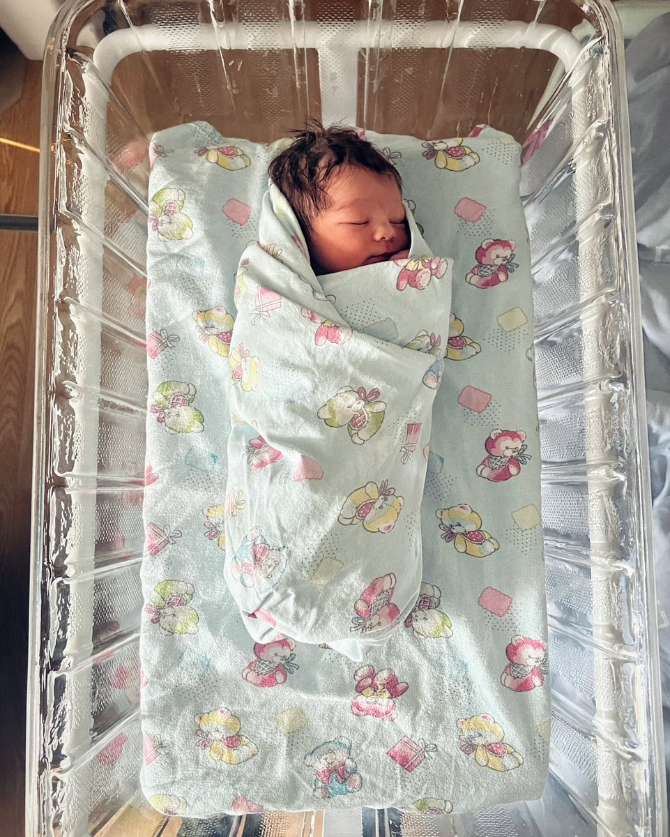 Dan Mace tweet media