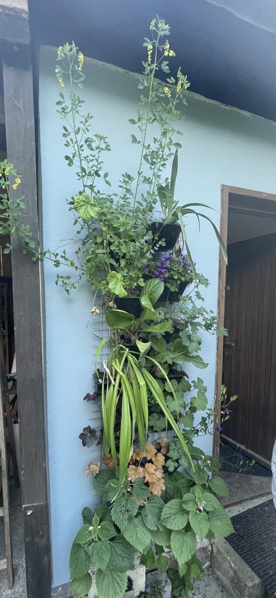 The green and living entrance area