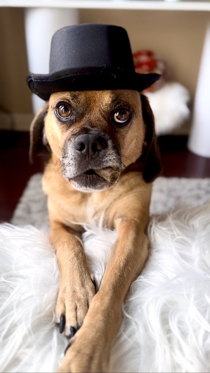 Cpl. Davinci leonardo tweet media