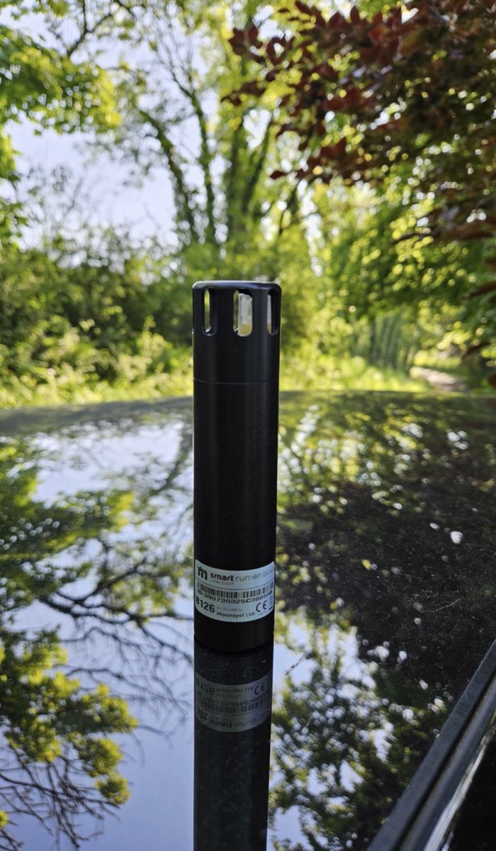 Our pH boluses being rolled out across Ireland to assist farms with research trials 🐄

The Moonsyst Smart Rumen Bolus reliably monitors the changes in the pH value of the rumen of cattle in a continuous and animal-friendly manner.

#irishdairyfarm #irishfarming #rumenbolus