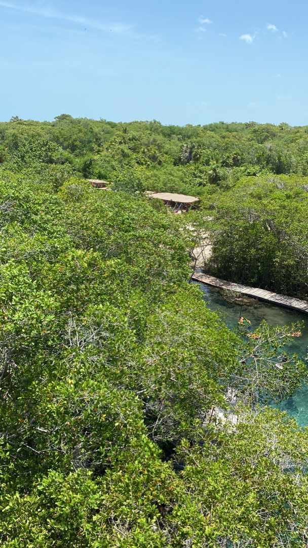 Yalahao Quintana Roo Mexico