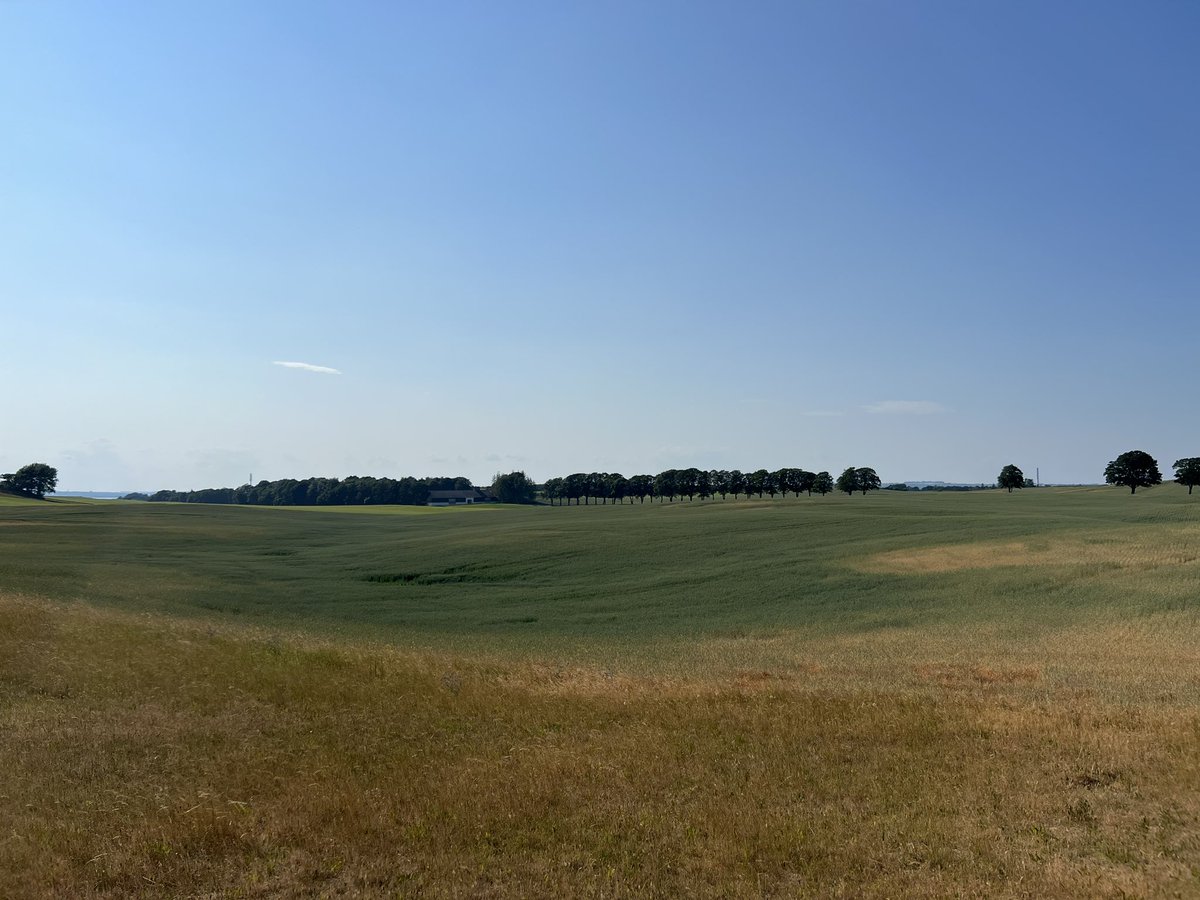 Skødshoved 🇩🇰