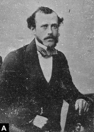 Paige Madison tweet media