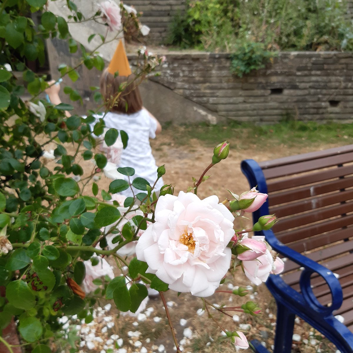 A happy day in the Rose Garden in Southsea.