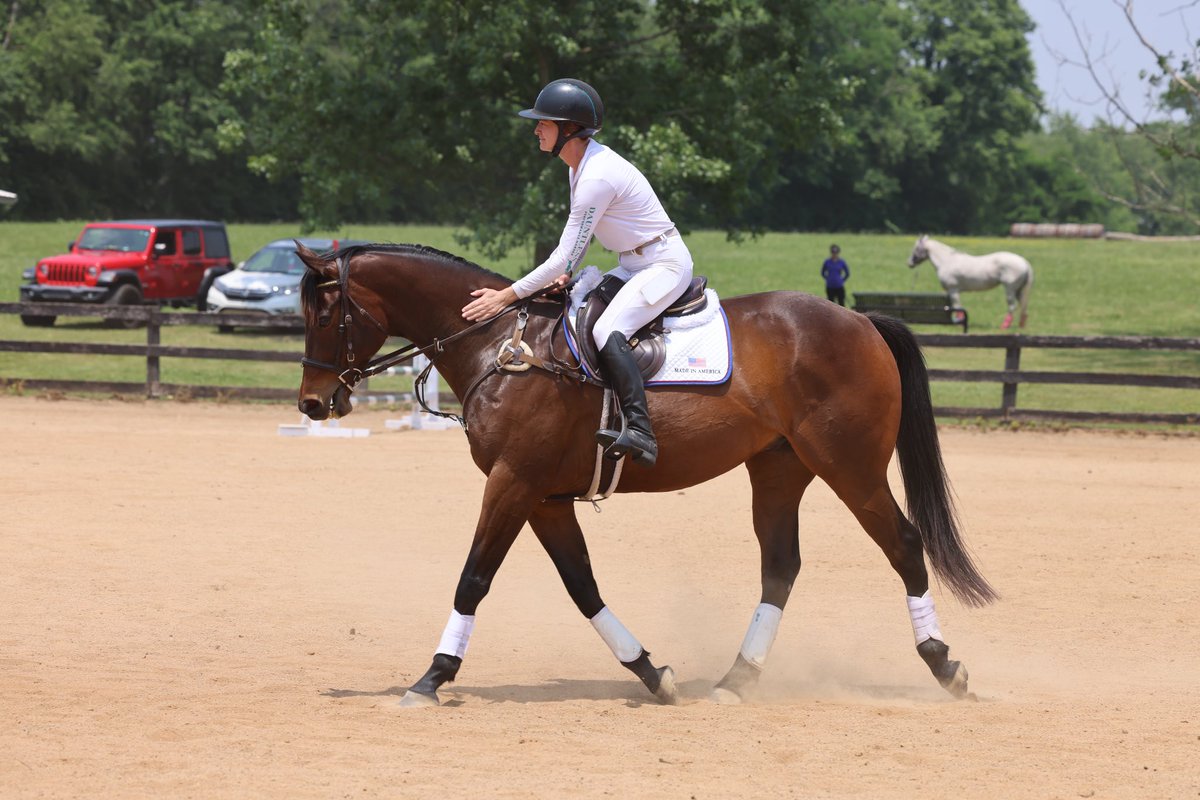 torijada6's tweet photo. Made In America 🇺🇸 first show with the incredibly talented, Chelsea Kolman. 
And Yes, he gave kids rides around in-between. This horse is one in a million 💙 so thankful for this team. https://t.co/v7X0BVy9cC