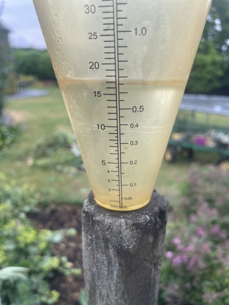 Roger Wilson tweet media