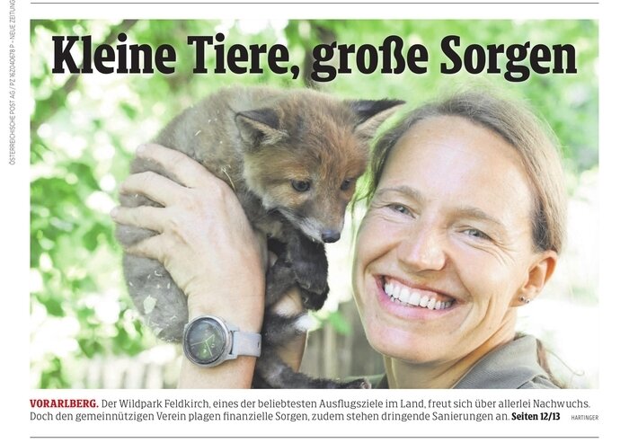 paulinepark's tweet image. Austria&apos;s Neue Vorarlberger Tageszeitung am Sonntag put a cute fox kit from the Vorarlberg&apos;s Wildpark Feldkirch on the front page of today&apos;s paper; what&apos;s cuter than a baby fox...? #Füchse #rävar #renards #volpi #여우 

wildpark-feldkirch.at
indifferentlanguages.com/words/fox