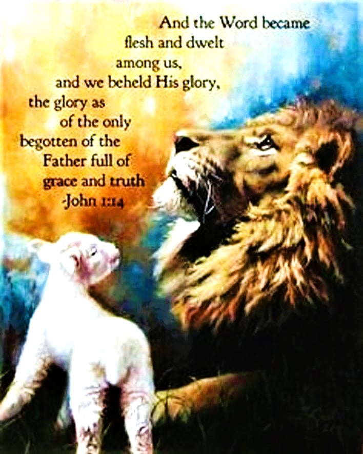 CamilleMonk's tweet photo. @RParksCurtis @NN49280332 King of Kings and Lord of Lords! #Yeshua #KingOfTheJews #Messiah #PassoverLamb #HighPriest and soon coming #KingOfTheWorld! https://t.co/4IbeHOjINm