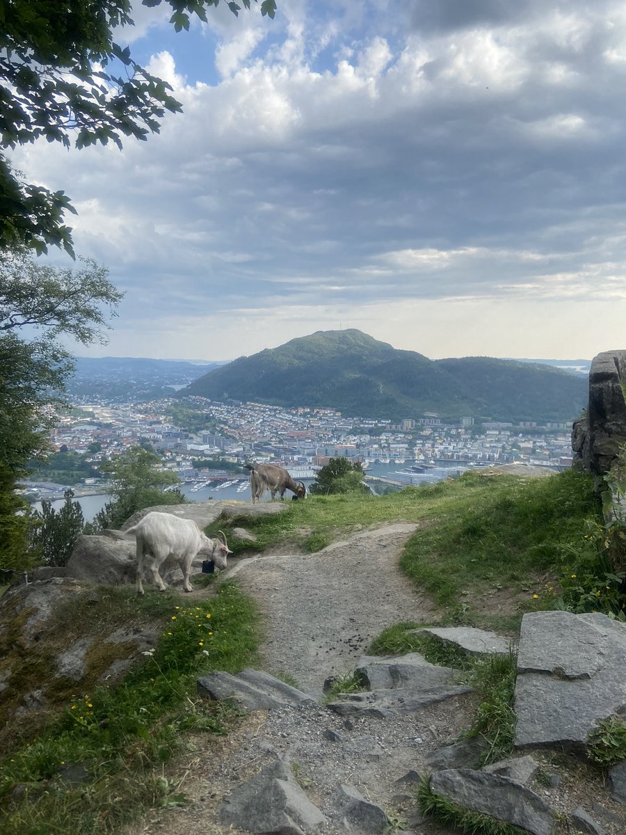 Lise Nottelmann (@lisenottelmann) on Twitter photo What a spectacular location for the very interesting things that are going to take place over the next couple of days! Looking forward to meeting up with all the INSPIRE partners in Bergen tomorrow!
<a href="/InspireRehabEU/">INSPIRE Palliative Rehabilitation Project</a> What a spectacular location for the very interesting things that are going to take place over the next couple of days! Looking forward to meeting up with all the INSPIRE partners in Bergen tomorrow!
<a href="/InspireRehabEU/">INSPIRE Palliative Rehabilitation Project</a>