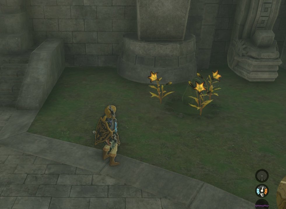 Wait… so is this Sonia’s grave?