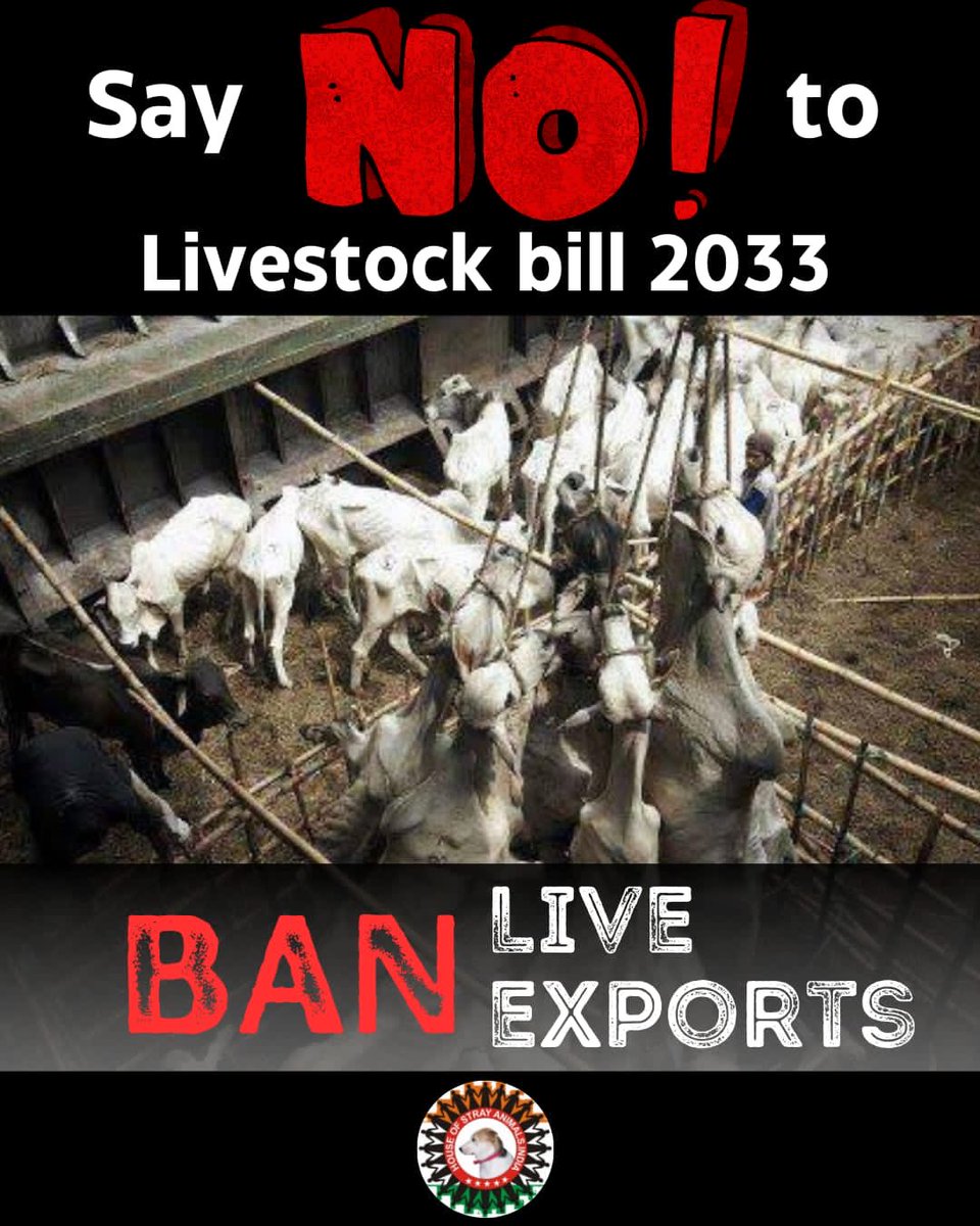 ShezUrooj's tweet photo. #Say No To Livestock Bill 2023 https://t.co/kBzVaXj3Nz
