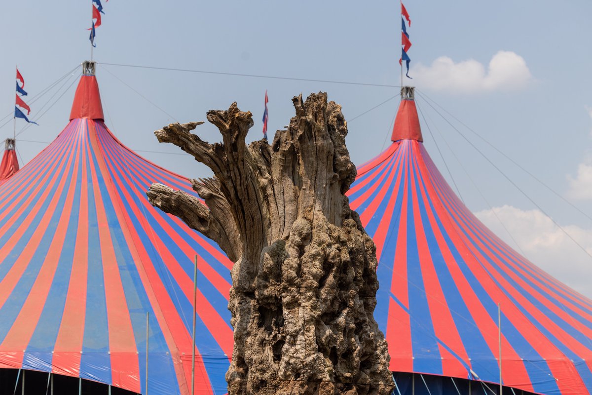 Glastonbury Festival tweet media