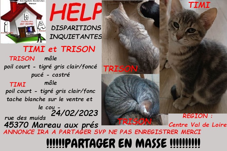 Kate23170's tweet image. merci de RT pour nous aider a retrouver TIMI ET TRISON disparus a Mareau aux près 45370 depuis le 24/02/2023 svp si infos : 07 83 57 09 00

contact fb / facebook.com/lea.santarelli

ou MP à @Kate23170