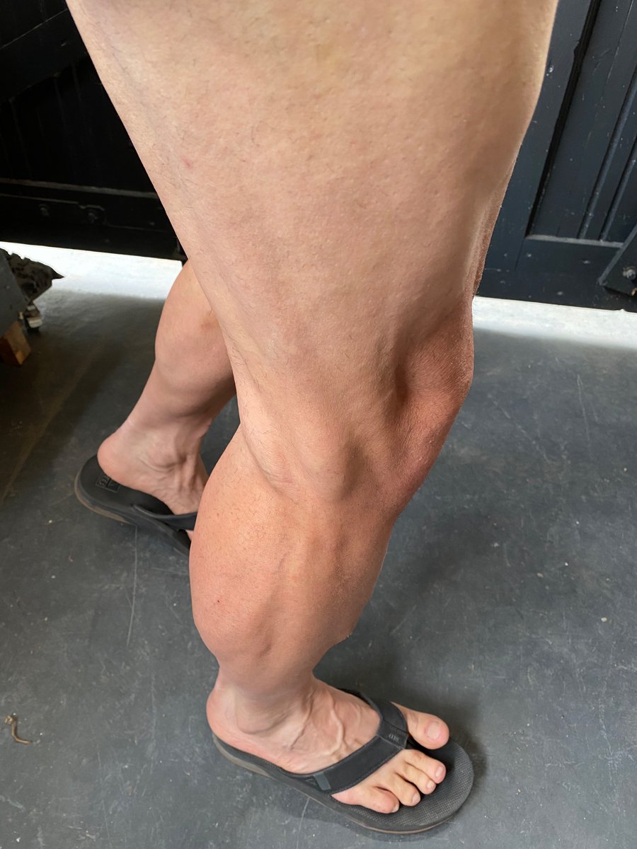 γnnɒꓷ 🚵🏾🏃🏽‍♂️🏋🏽‍♂️🌿 tweet media