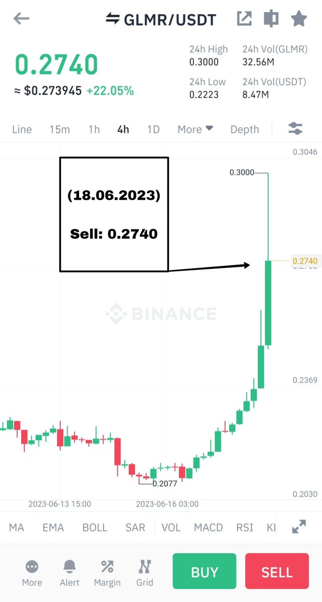 DogecoinPumps1 tweet picture