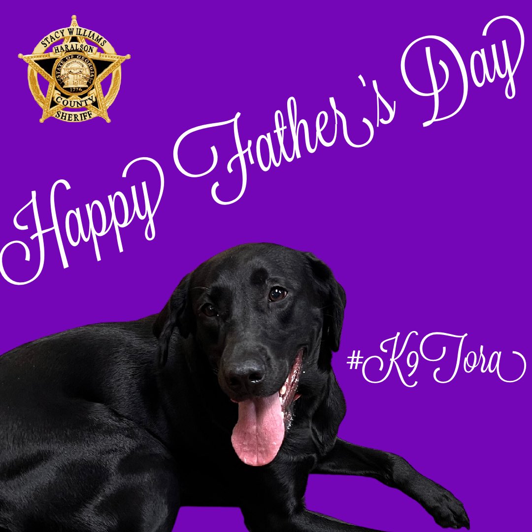 Happy Father’s Day to all the Dads out there from K-9 Tora! 

#K9Tora🐾💙 
#K9Unit #HappyFathersDay #Labrador 
#ThatFace #GoodGirl #FathersDay2023 
#HCSO