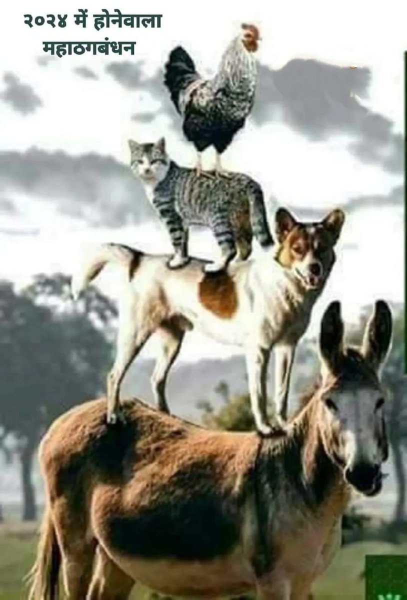 MKGargHighCour5's tweet photo. *गधा ऊपर कुत्ता बैठे*, *कुत्ता ऊपर बिल्ली*                                            *सबके ऊपर मुर्गा, देखें, कितनी दूर है दिल्ली*  🫏🐕‍🦺🐈🐓👆🏽 🇮🇳🚩 https://t.co/VZULa7kks3
