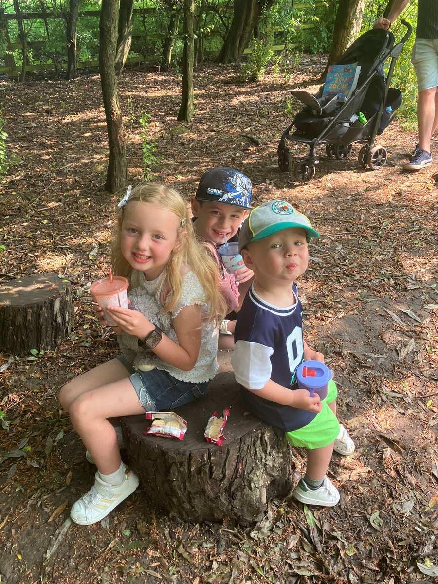 @BirkwoodPrimary Paige has been on an adventure today with her Birkwood Bear! We’ve been to one of our favourite places… Worsbrough Mill, where she’s enjoyed her story in the woods. Along with sharing her tasty treats with her two brothers. 
☺️🌻📖🌟🧸🌳🪵
#readeroftheweek